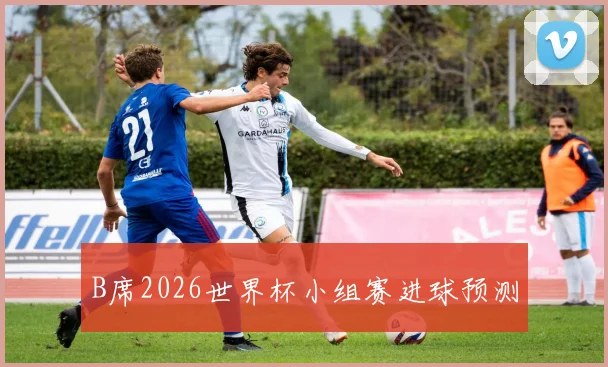 B席2026世界杯小组赛进球预测